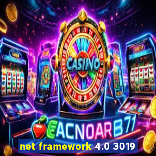 net framework 4.0 3019